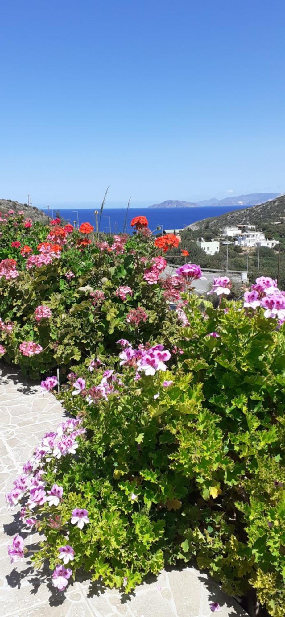 Hari Apartments Vathi, Agios Nikolaos Crete Экстерьер фото